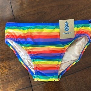 Chubbies Multicolor Striped Swim Briefs